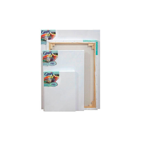 BASTIDOR ENTELADO 50X60 
