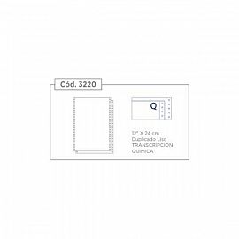 Formulario Continuo 12x24 Húsares Duplicado Transcripción Química