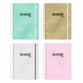 AGENDA ONIX SHINE S/VISTA C/ESP. 16 X 22 CM (AG25B006) 2026